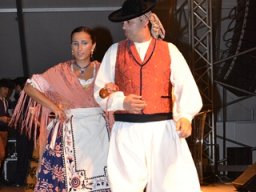 Festival de Folkore en Mula